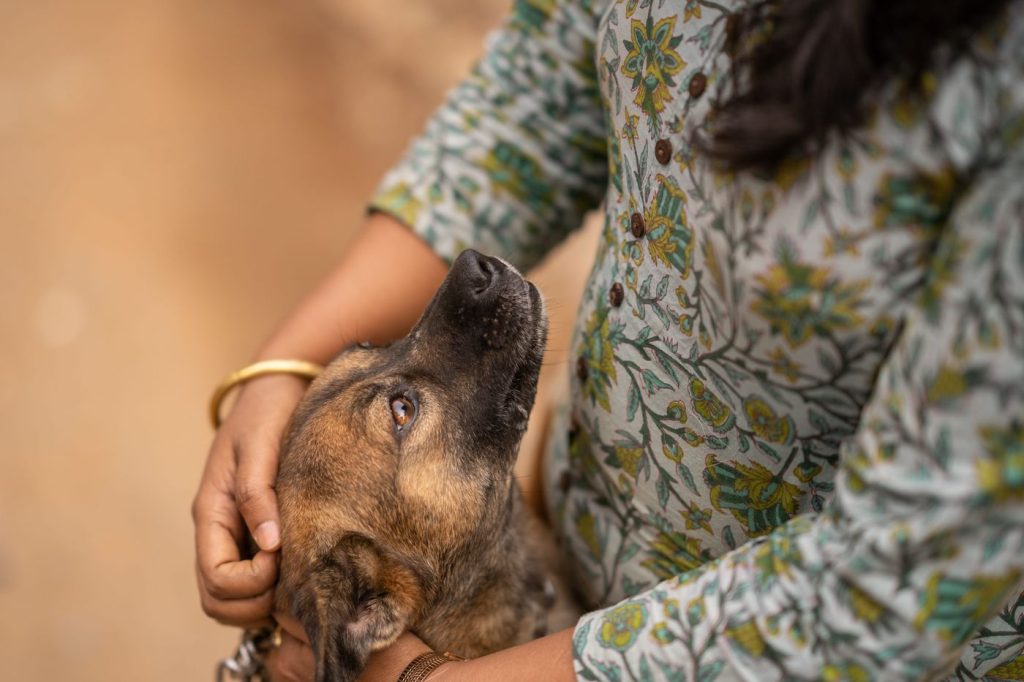 Teaching a Dog to Relax: Calm and Massage