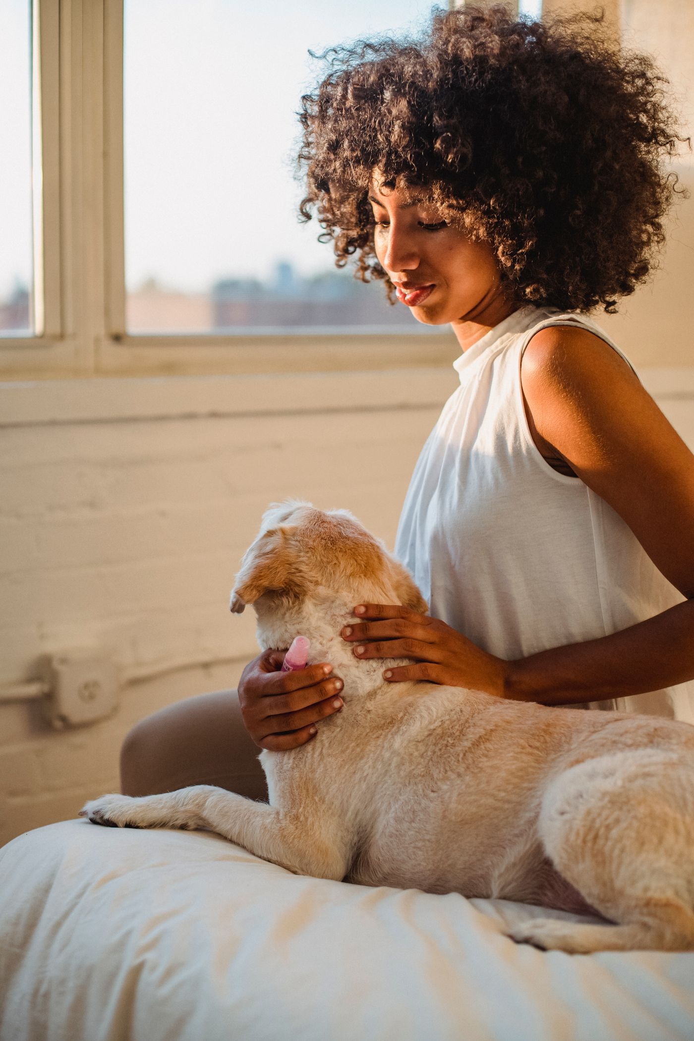 Woman calmly strokes her dog on the bed in warm daylight