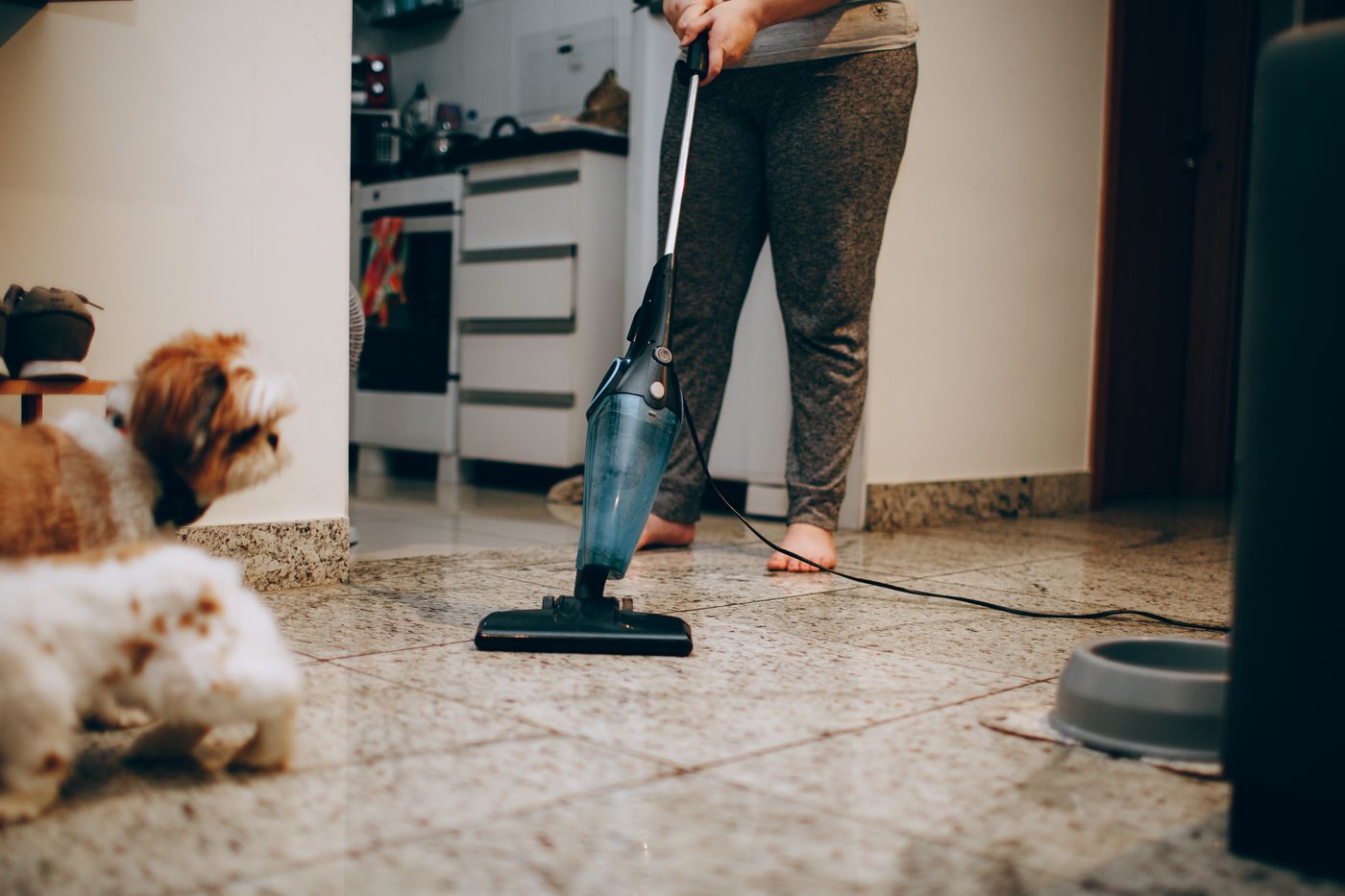 Person vacuuming the floor while a small dog stands nearby