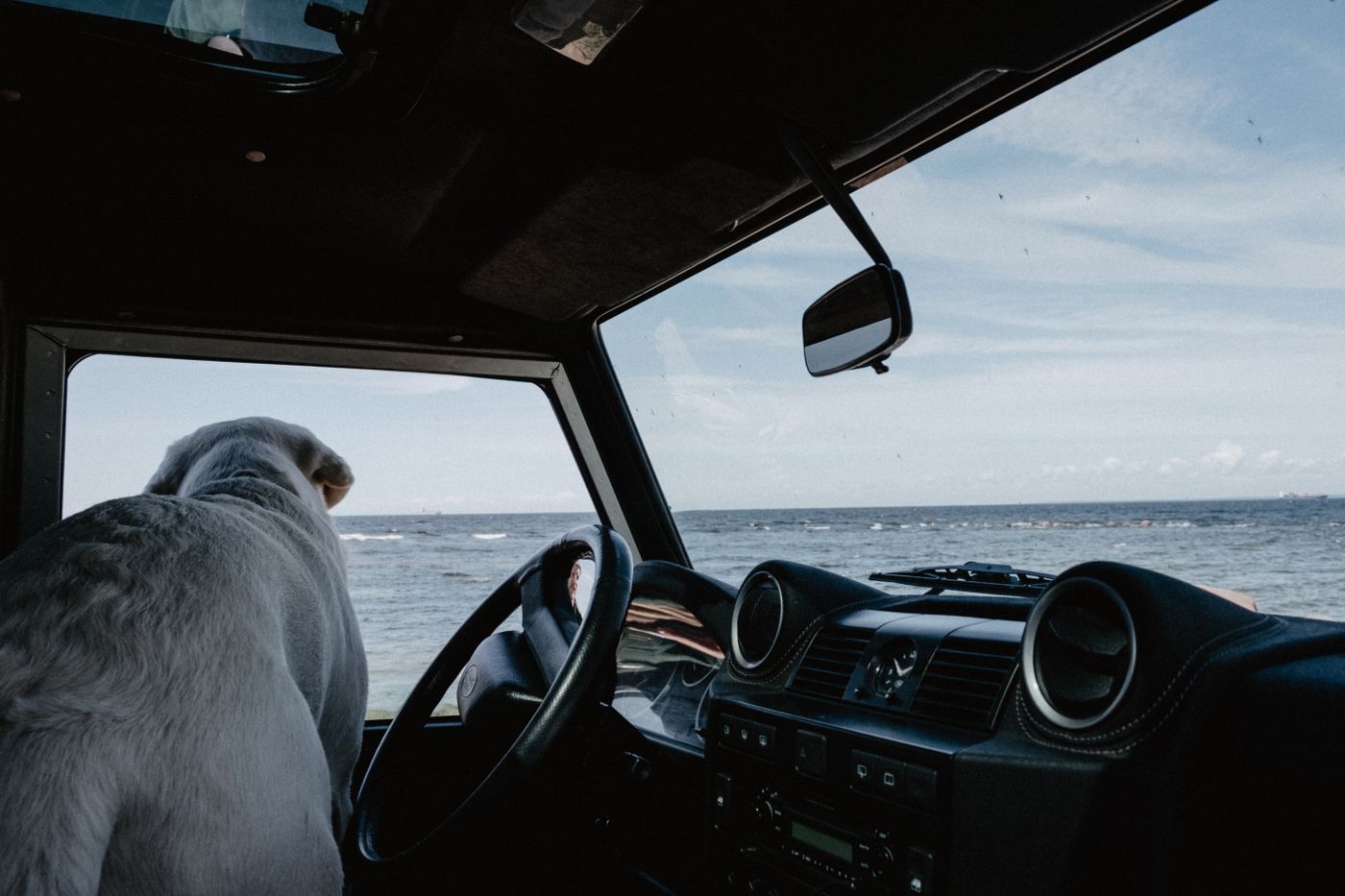 Perro sentado en el interior de un todoterreno mira el mar a traves de la ventanilla